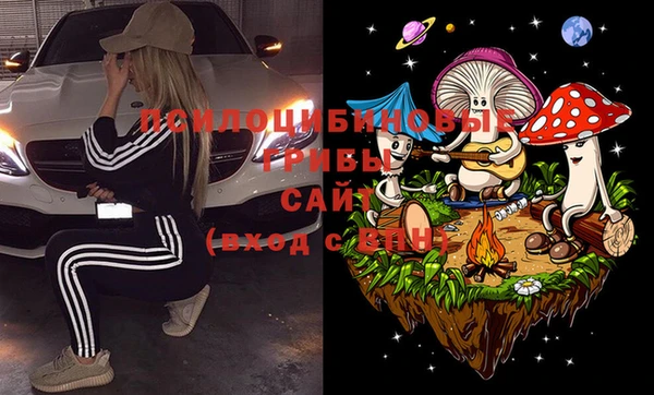 экстази Алексин