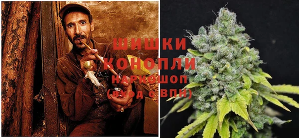 прущие крисы Семилуки