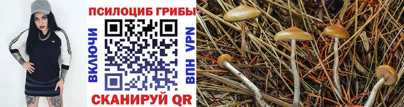 Псилоцибиновые грибы мухоморы  Арсеньев 