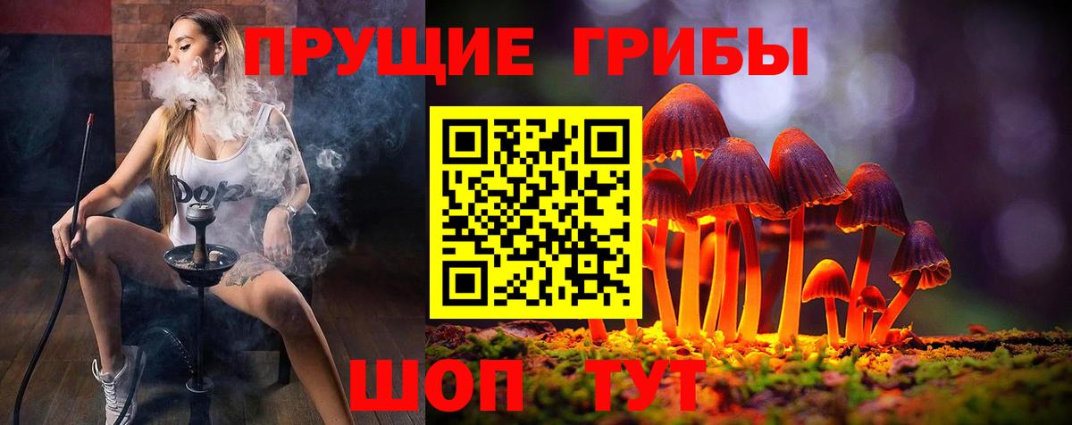 Псилоцибиновые грибы Psilocybe  Вход с VPN  Арсеньев 